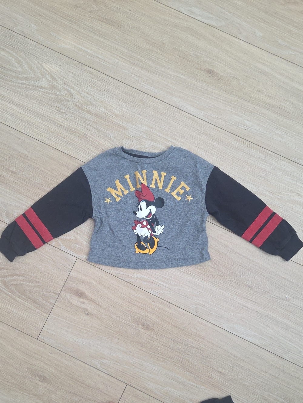 Disney Minnie Cropped Shirt